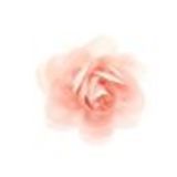 Pin 11 cm, rosa Stift TAMMY