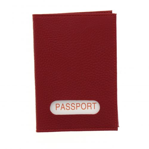 Evan, leather passport case