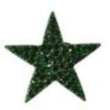 Bague métal étoile XL, BA16 Vert pin - 1422-5239
